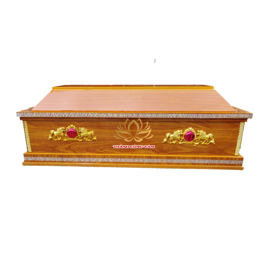 Hòm mẫu 07