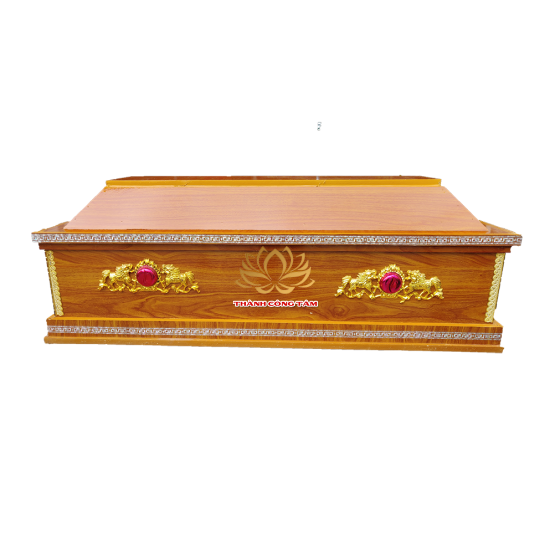 Hòm mẫu 07